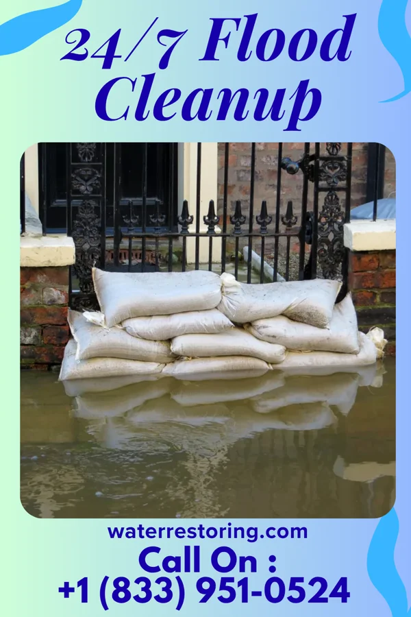 24/7 Flood Cleanup in Litchfield Beach, SC