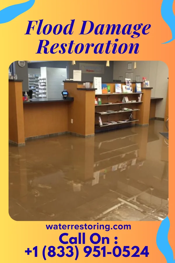Flood Damage Restoration in Litchfield Beach, SC