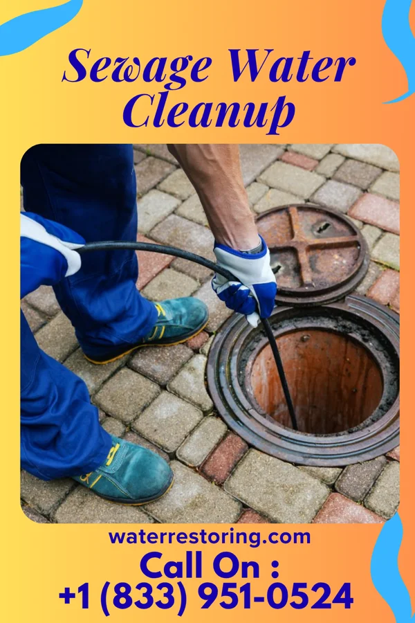 Sewage Water Cleanup in Litchfield Beach, SC