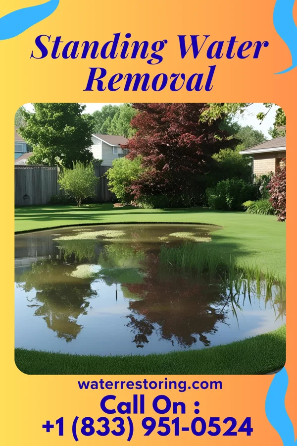 Standing Water Removal in Litchfield Beach, SC